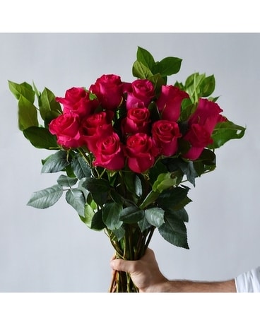 Hand-tied Hot Pink Roses Bouquet