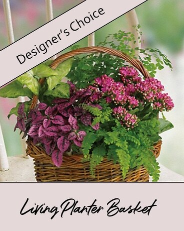 Planter Garden Flower Arrangement