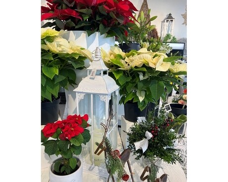 Custom Flower Arrangement