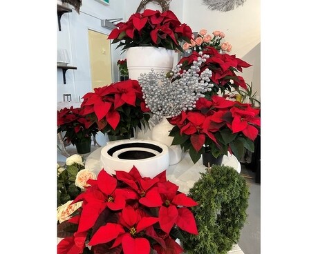 Custom Flower Arrangement