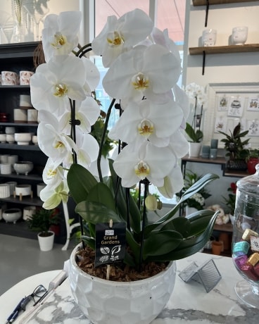 Custom Flower Arrangement