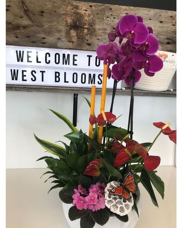 Orchid Delights Flower Arrangement