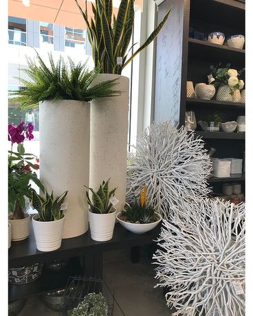 Succulents Flower Arrangement