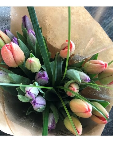 20 Tulips wrapped Hand Tie Flower Arrangement