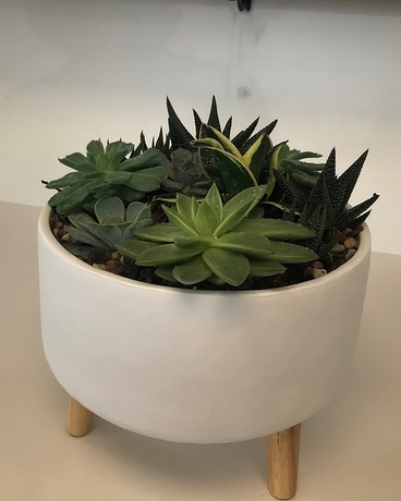 Large succulent planter Flower Arrangement