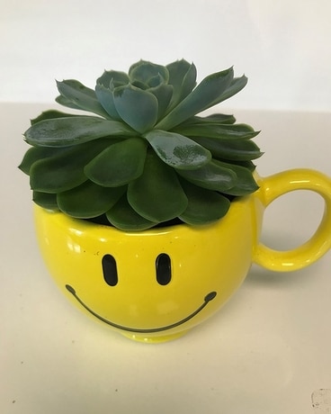 Happy Face Mug with Succulent Flower Arrangement