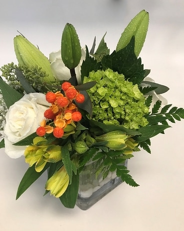 Crisp & Clean Delight Flower Arrangement