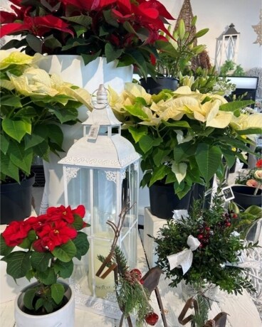 Custom Flower Arrangement