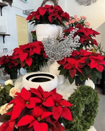 Custom Flower Arrangement