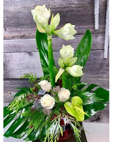 White Amaryllis Flower Arrangement