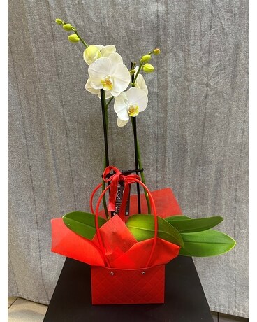 Orchid in the Purse Flower Arrangement