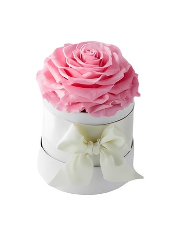 Eternal Single Rose Box - Pink in Milton ON - Karen's Flower Shop