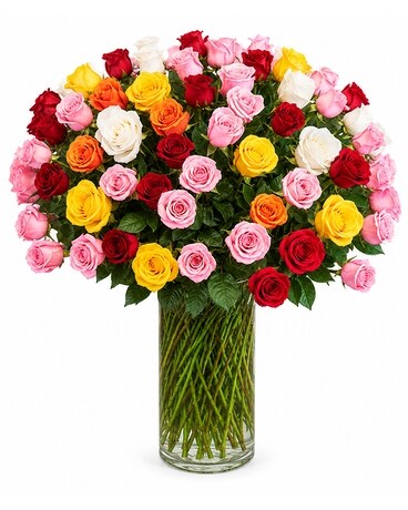 WOW 100 PREMIUM LONG STEM ROSES in Milton ON - Karen's Flower Shop