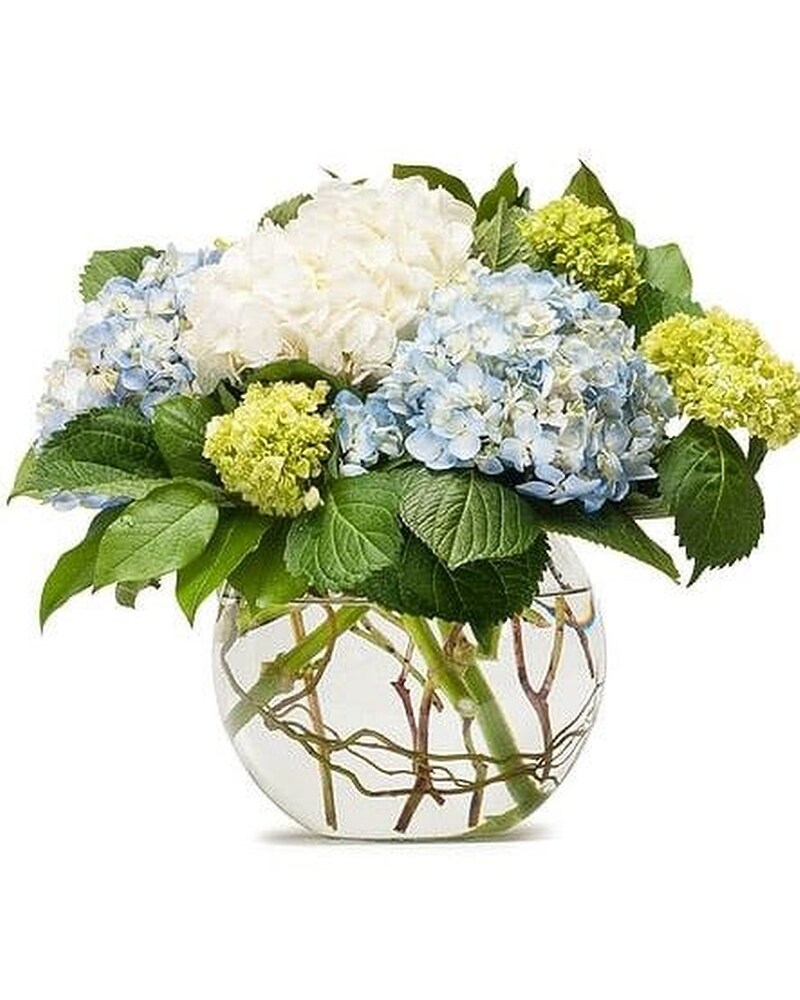 hydrangea0223ページ MIGHTY HYDRANGEA in Milton ON - Karen's Flower Shop