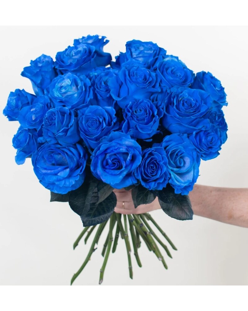 Dozen Blue Roses in Milton ON - Karen's Flower Shop