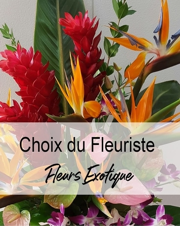 Choix du Designer Exotique Flower Arrangement