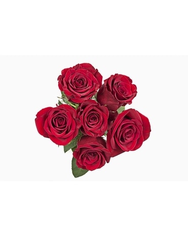 SIX RED ROSES Flower Arrangement