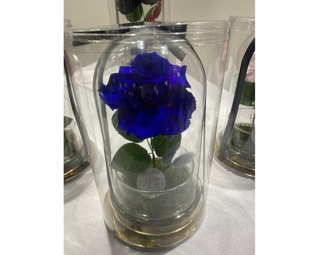 Eternal roses Flower Arrangement