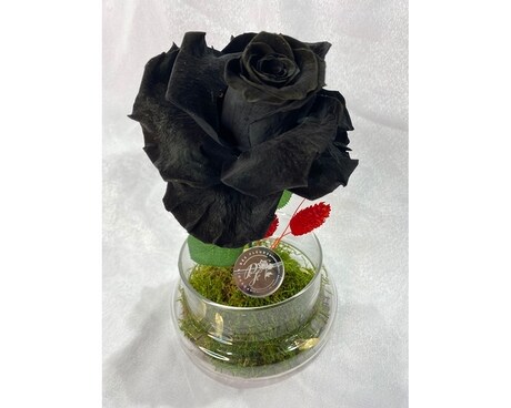 Eternal rose Flower Arrangement