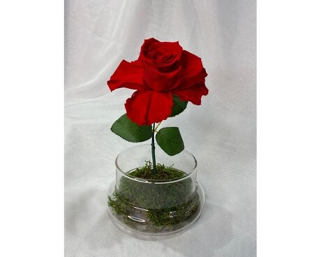 Eternal rose Flower Arrangement