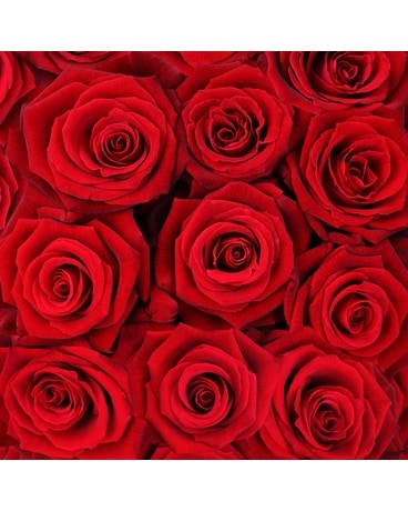 Red Rose Bouquet Bouquet
