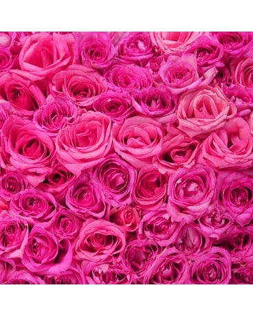 Hot Pink Roses Bouquet