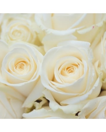 White Rose Bouquet Flower Arrangement