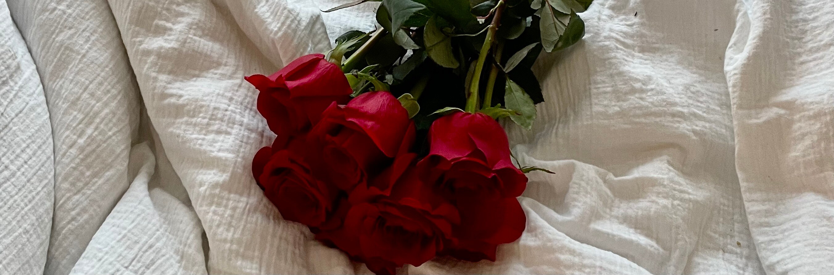 fleuriste Ste Rose 10 RABAIS 4506220499