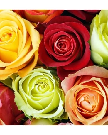 Six Mixed Roses (No vase) Flower Arrangement