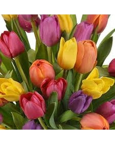 Assorted Tulips Flower Arrangement