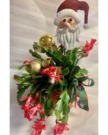 Christmas Cactus Flower Arrangement