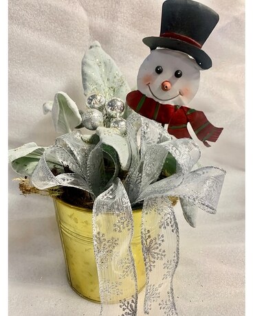 Plante  Aile Ange Flower Arrangement