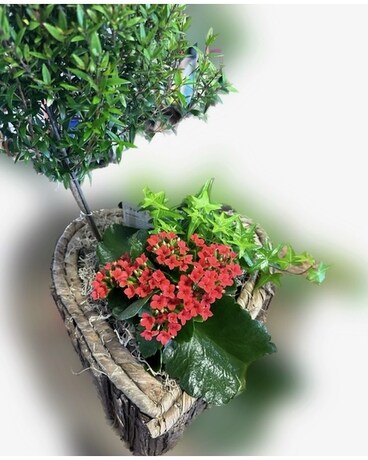 Jardin de Plante Flower Arrangement