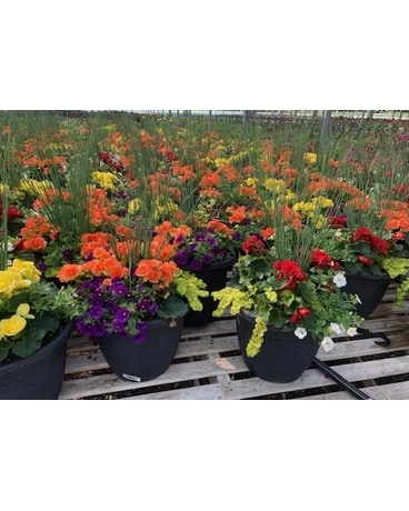 Balconiere de patio  12 Flower Arrangement