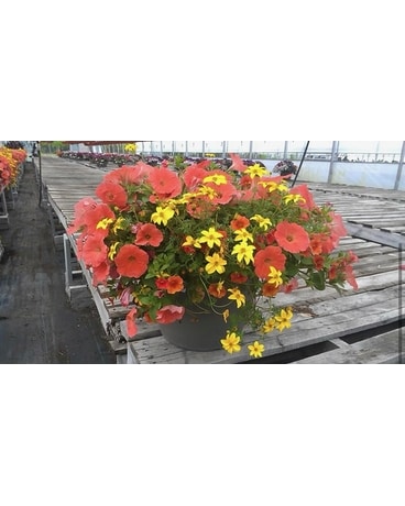 Balconiere de Patio 13 Flower Arrangement