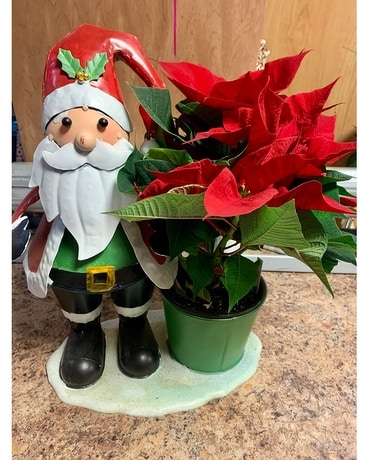 PERE NOEL Custom product