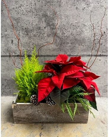 Jardin de Noel Flower Arrangement