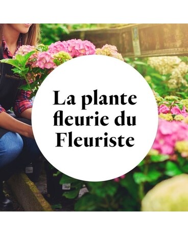 Plante Fleuries Flower Arrangement