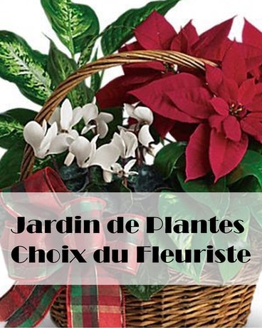 Jardin de Plantes Flower Arrangement