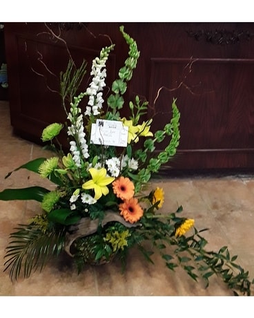 MF-6 Sympathy Arrangement