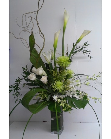 MF-7 Sympathy Arrangement