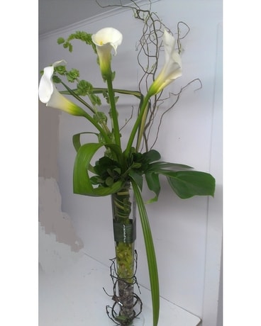 MF-8 Sympathy Arrangement