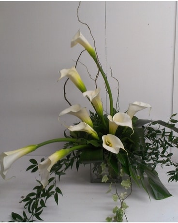 MF-9 Sympathy Arrangement