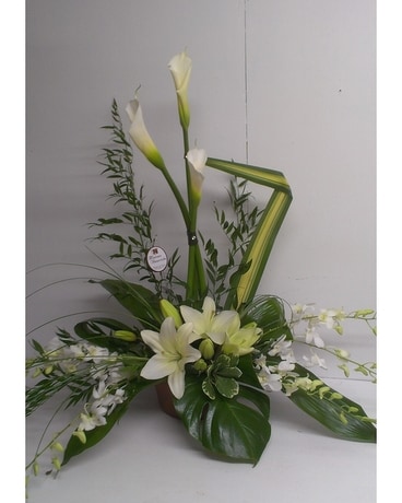 Moisan Fleuriste Sympathy Arrangement
