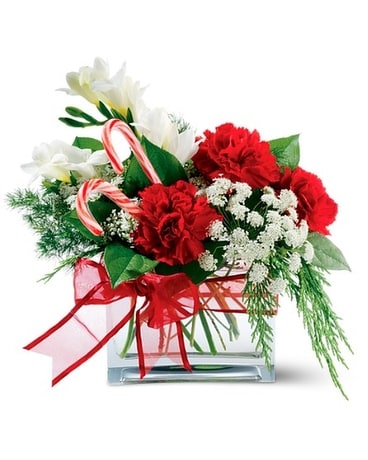 PEPPERMINT TWIST Flower Arrangement