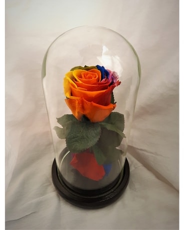 Multicolor Eternal Rose Gifts