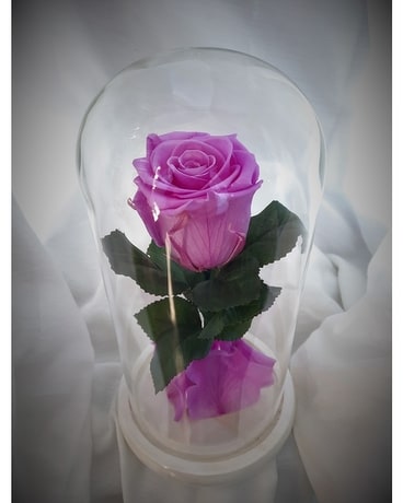 Lilac Eternal Rose in Dome Gifts