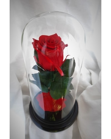 Red Eternal Rose In Dome Gifts