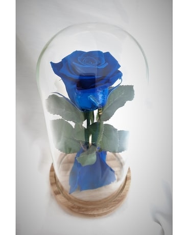 Blue Eternal Rose in Dome Gifts