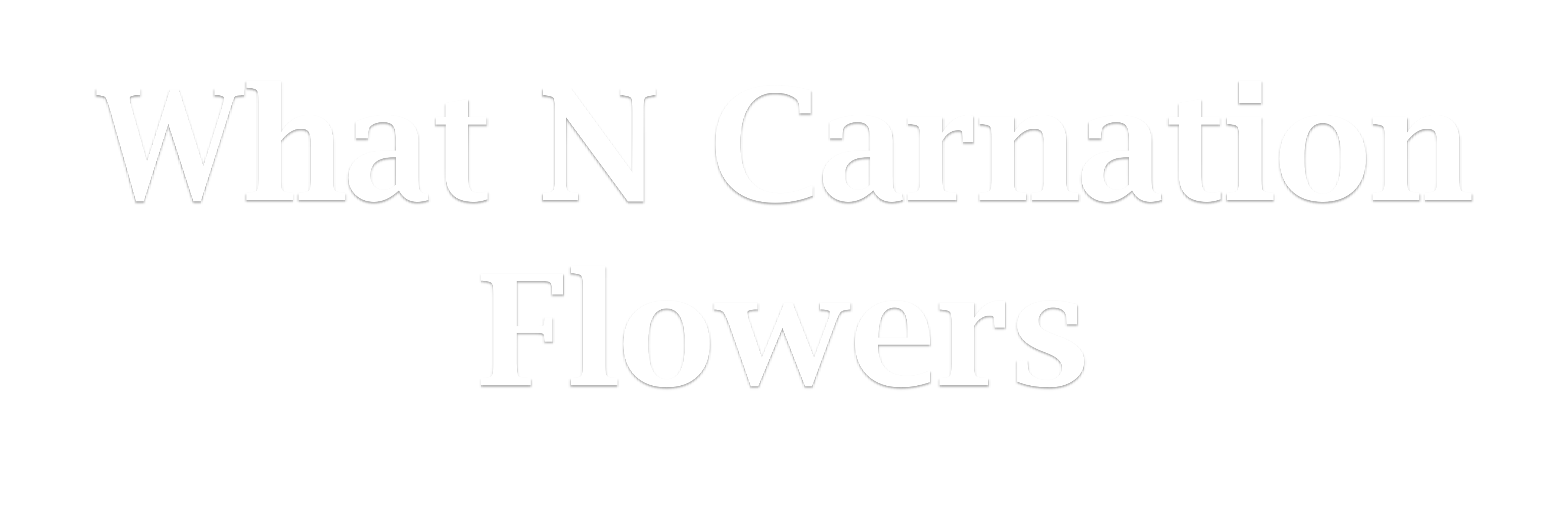 Shop By Flowers Delivery Waverly Al What N Carnation Flowers